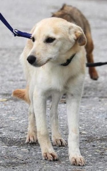 Amali ist einfach nur bezaubernd + lieb!