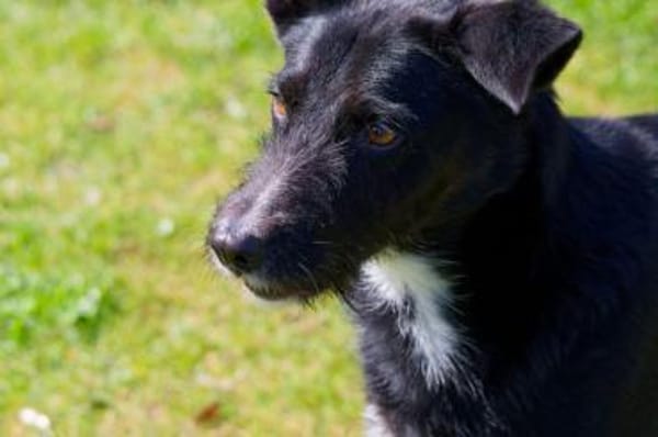 BONO SUCHT ERNEUT NACH EINEM ZUHAUSE