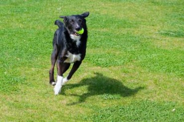 BONO SUCHT ERNEUT NACH EINEM ZUHAUSE