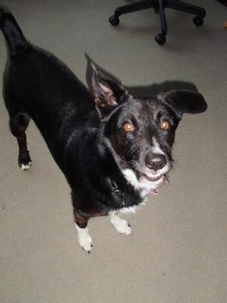 BONO SUCHT ERNEUT NACH EINEM ZUHAUSE