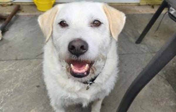 Alterswohnsitz für Claudius gesucht