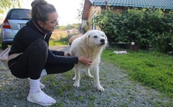 Alterswohnsitz für Claudius gesucht