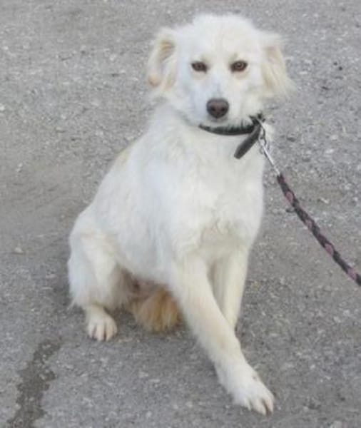 Fenella ist einfach nur bezaubernd!!