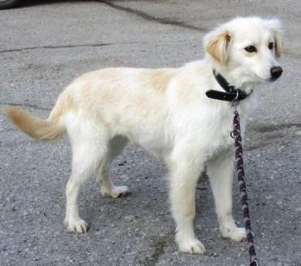 Fenella ist einfach nur bezaubernd!!