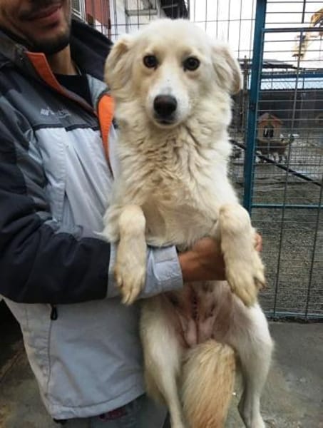 Fenella ist einfach nur bezaubernd!!