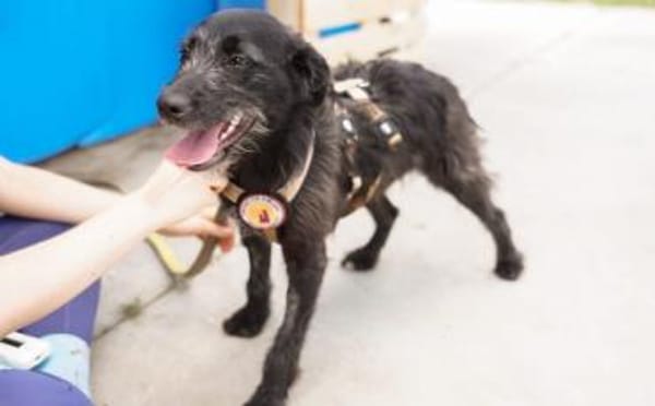 Kiara - Lebenfreude pur