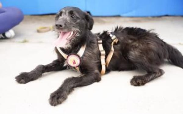 Kiara - Lebenfreude pur