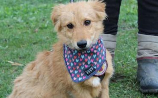 Neelo wartet schon auf dich