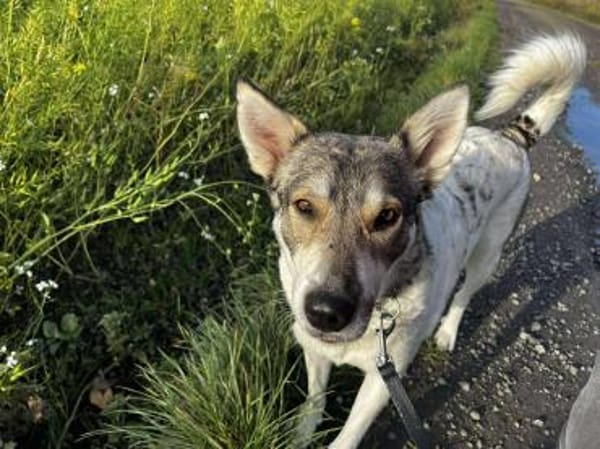 FENJA möchte endlich ankommen