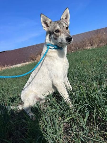 FENJA möchte endlich ankommen