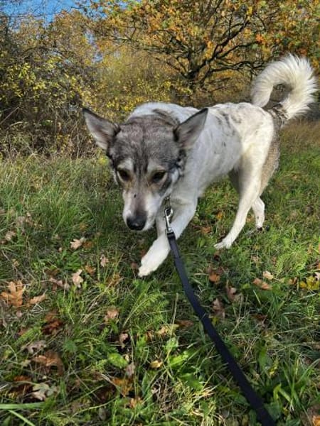 FENJA möchte endlich ankommen