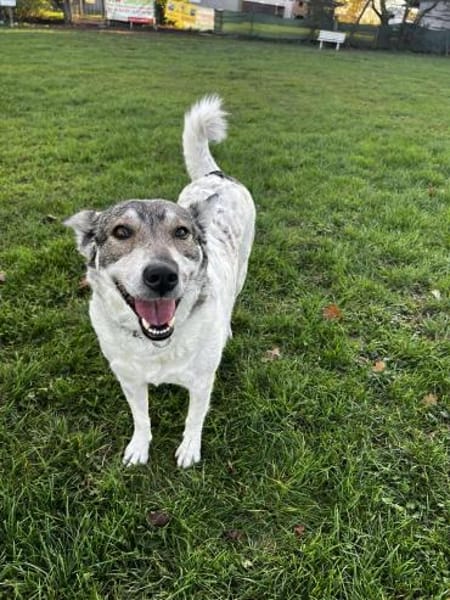 FENJA möchte endlich ankommen