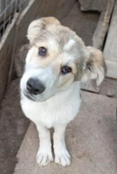 Zara 56 cm (Nov 25) Pflegestelle