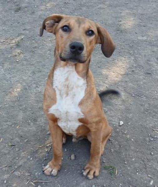 Barnus sucht seine Familie