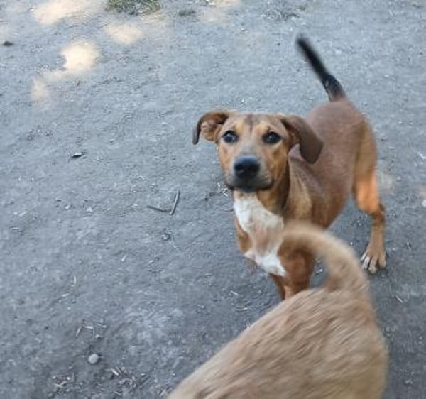 Barnus sucht seine Familie