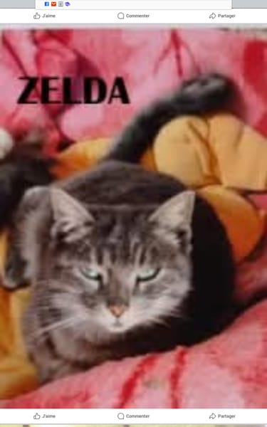 Zelda
