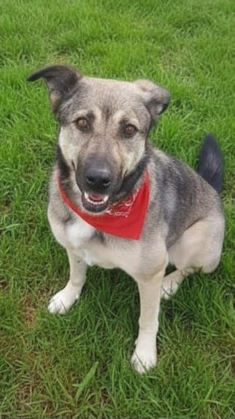 THALIA, freundlich, lieb, ruhig