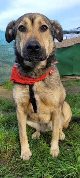 THALIA, freundlich, lieb, ruhig