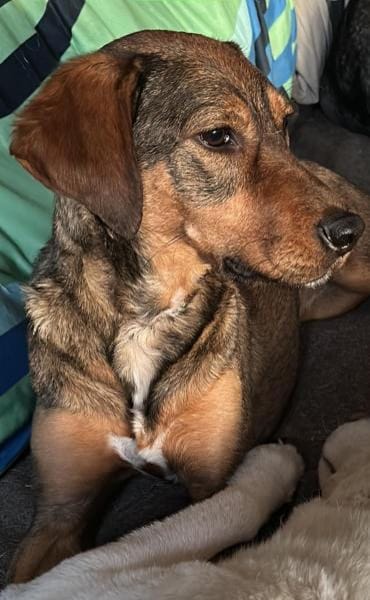 Lola auf PS in Bayern