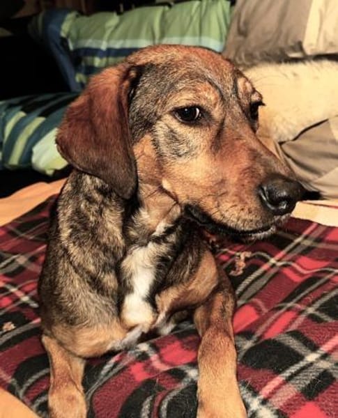 Lola auf PS in Bayern