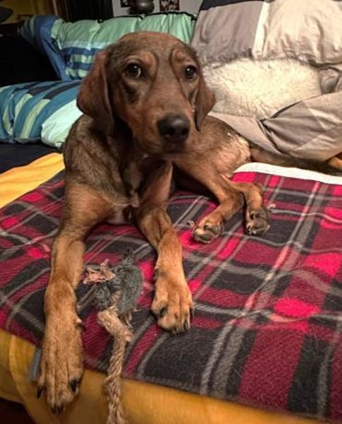 Lola auf PS in Bayern