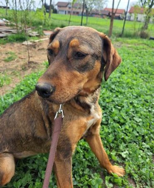 Lola auf PS in Bayern