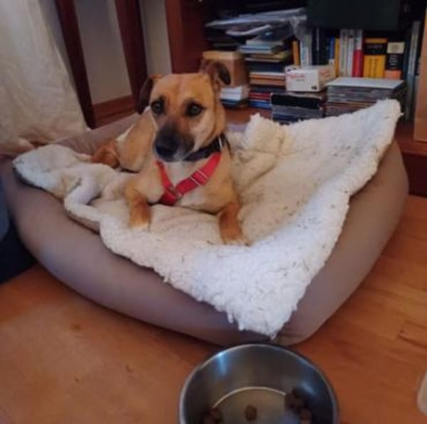 Monita ist so lieb und süß!