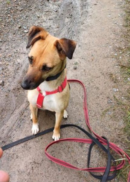 Monita ist so lieb und süß!