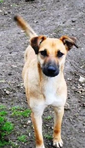 Monita ist so lieb und süß!