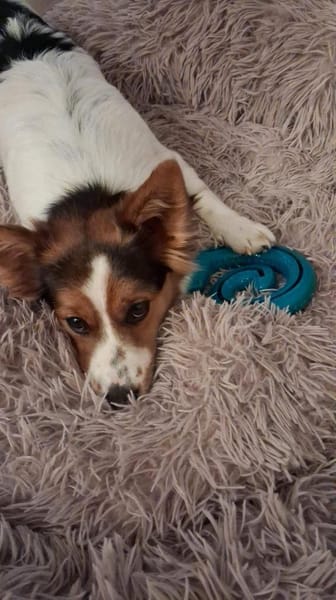 Ruby wartet auf PS in HH