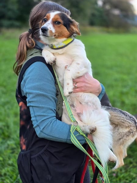 Ruby wartet auf PS in HH