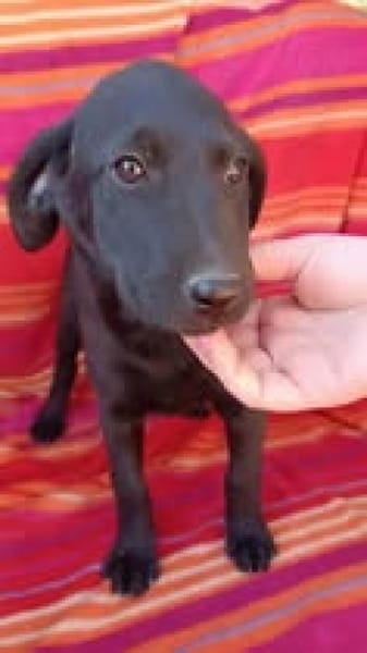 💕Tabea💕 sucht ihr großes Glück