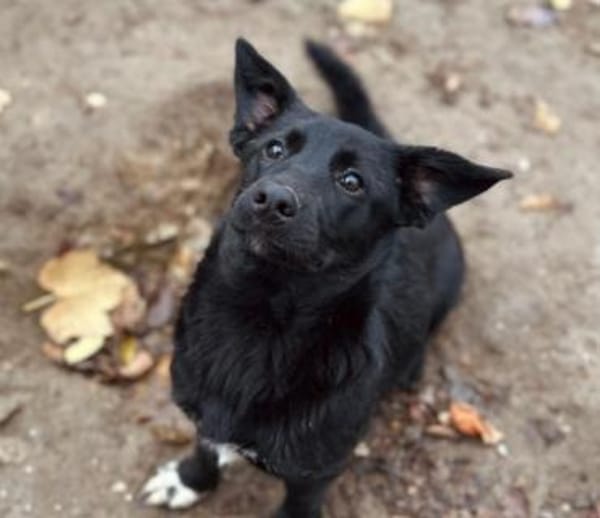 Zauberhafte, liebe Heyhey