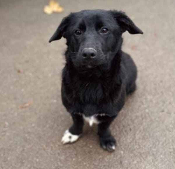 Zauberhafte, liebe Heyhey