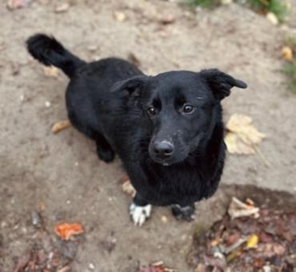 Zauberhafte, liebe Heyhey