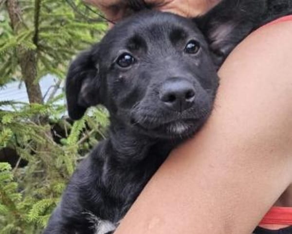 Zauberhafte, liebe Heyhey