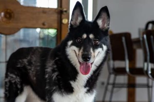 Bonita: verzaubert sie auch dich