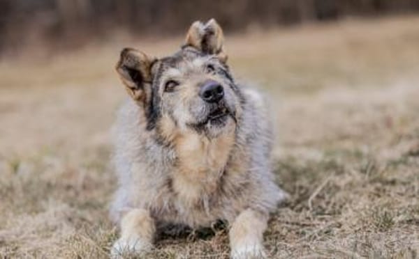 Zeigst du Esma wie toll das Leben ist?