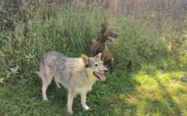 Zeigst du Esma wie toll das Leben ist?