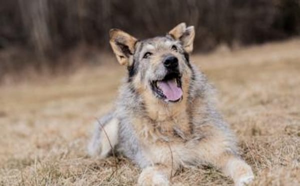 Zeigst du Esma wie toll das Leben ist?