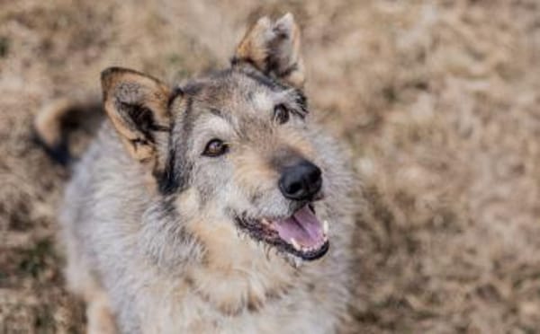 Zeigst du Esma wie toll das Leben ist?