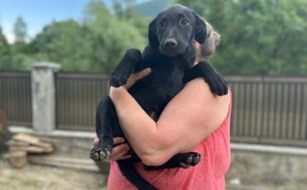 Smarty hofft eine eine tolle Zukunft