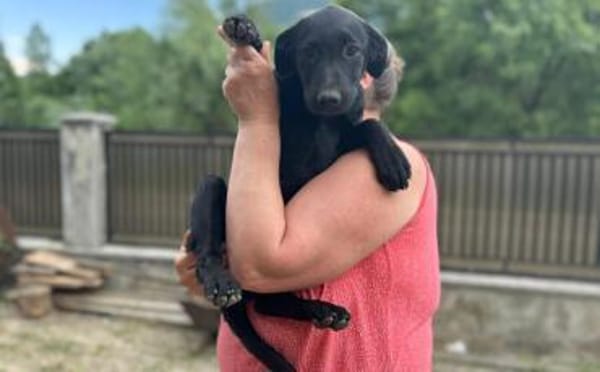 Smarty hofft eine eine tolle Zukunft