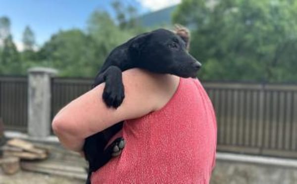 Smarty hofft eine eine tolle Zukunft