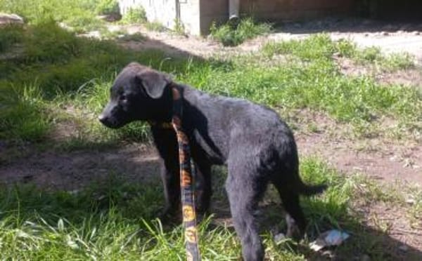 Smarty hofft eine eine tolle Zukunft