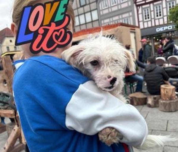 Rosa - verschmust und kinderlieb