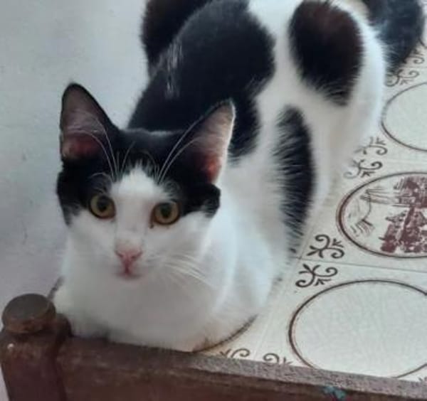 Sarah & Sasha Ruhiges Dreamteam