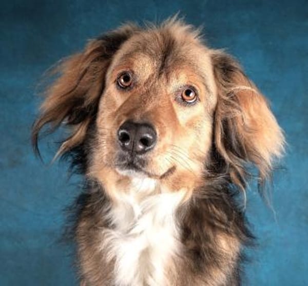 Bernie - möchte endlich ankommen