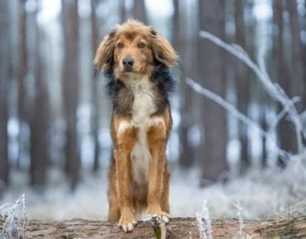 Bernie - möchte endlich ankommen