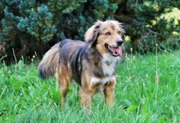 Bernie - möchte endlich ankommen